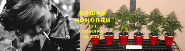 кристаллы Гусь-Хрустальный