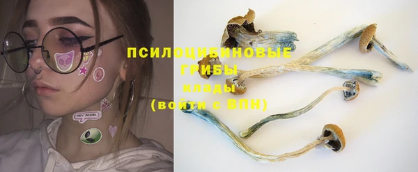 кристаллы Гусь-Хрустальный